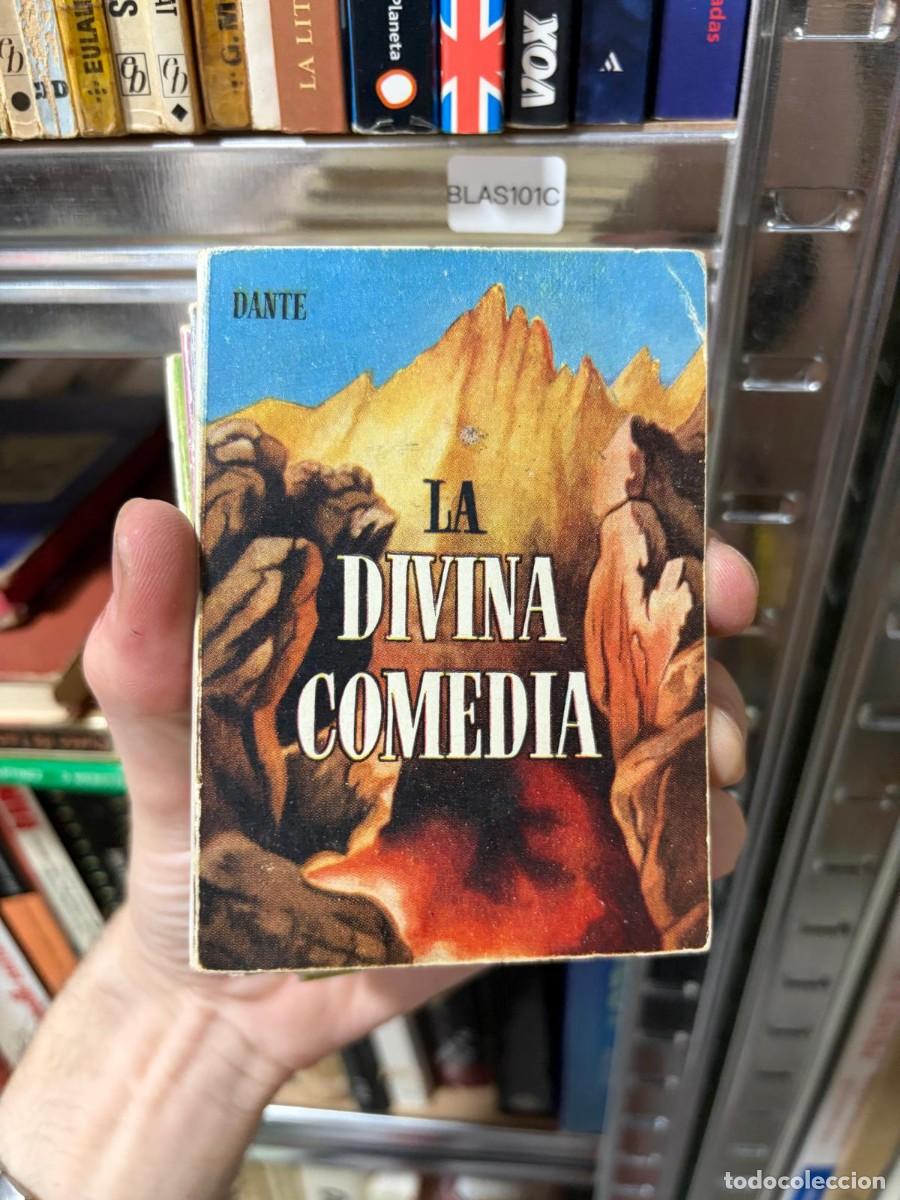 Libros de segunda mano: BLAS101C La Divina Comedia &mdash; Dante COLECCION PULGA