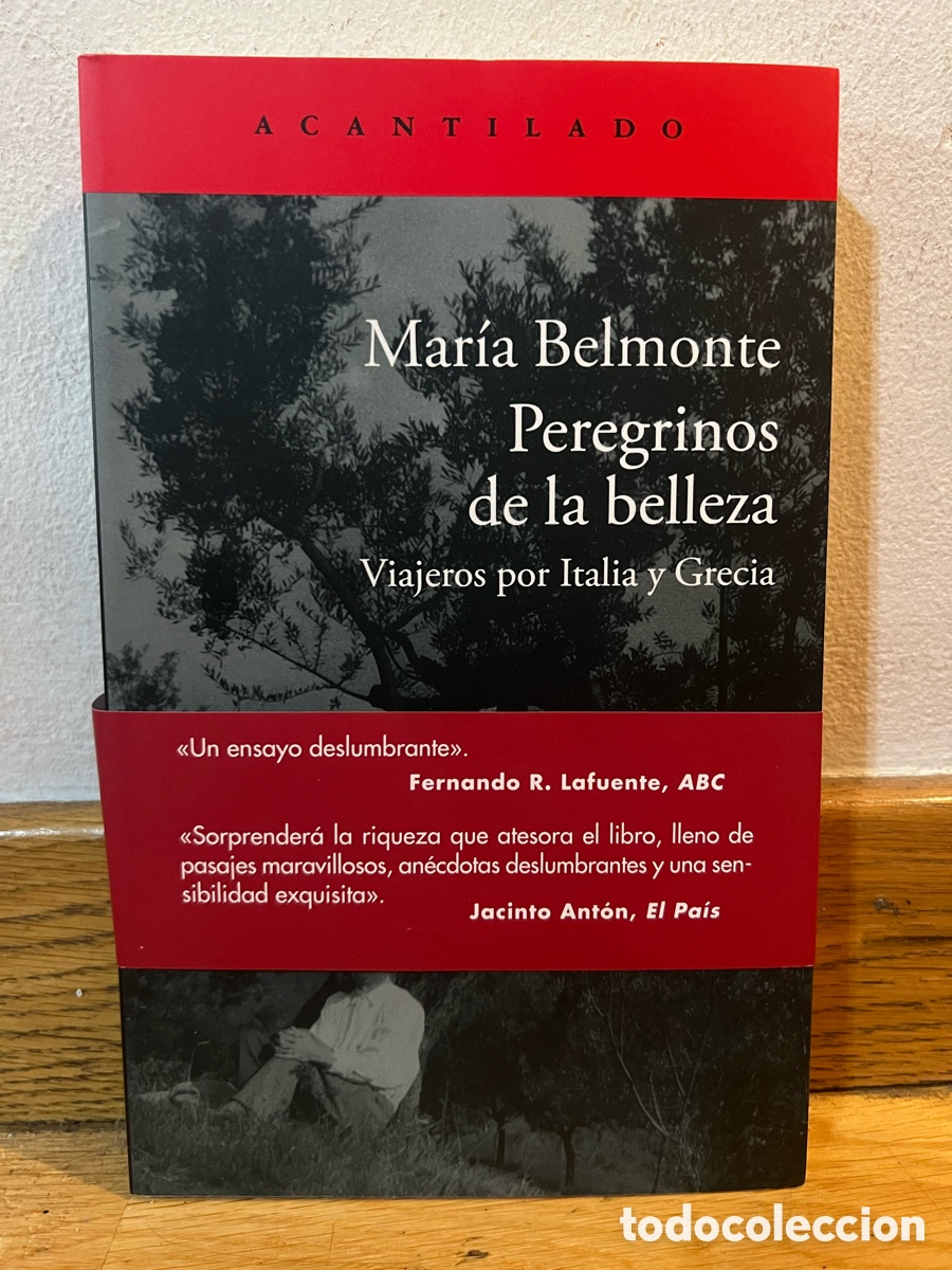 Libros de segunda mano: Mar&iacute;a Belmonte Peregrinos de la belleza Viajeros por Italia y Grecia