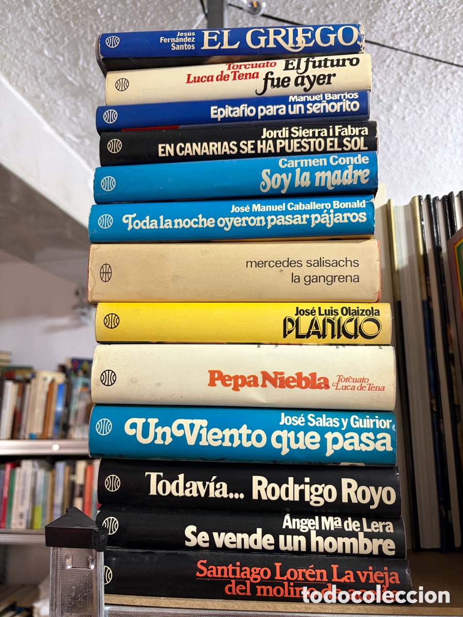 Libros de segunda mano: Blas102A Lote de 13 libros novelas planeta: Luca de Tena Jordi sierra olaizola maria de lera