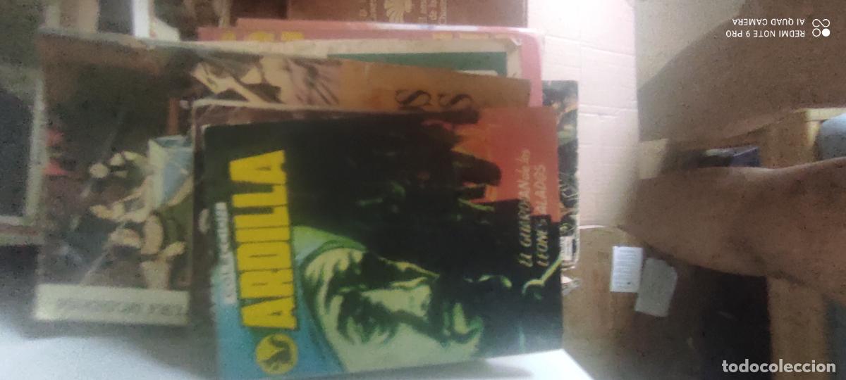 Libros de segunda mano: MARCOS, Eduardo. El guardi&aacute;n de los leones alados. (Ardilla ; 97)