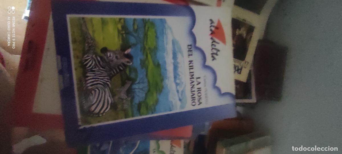 Libros de segunda mano: La rosa del Kilimanjaro.- Puerto, Carlos