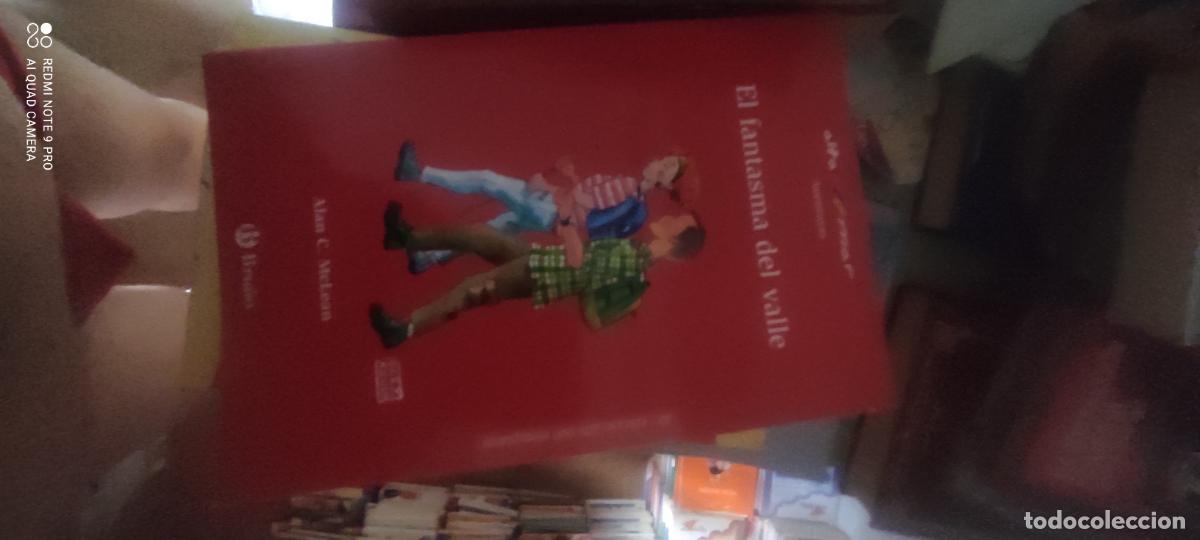 Libros de segunda mano: EL FANTASMA DEL VALLE - ALAN C. MCLEAN - BRU&Ntilde;O - 2016 l
