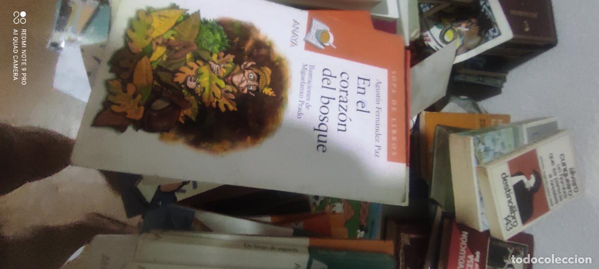 Livres d'occasion: EN EL CORAZ&Oacute;N DEL BOSQUE - AGUST&Iacute;N FERN&Aacute;NDEZ PAZ - ANAYA - 2001