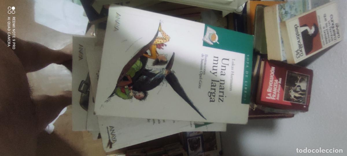 Livres d'occasion: UNA NARIZ MUY LARGA. LUKAS HARTMANN. ANAYA