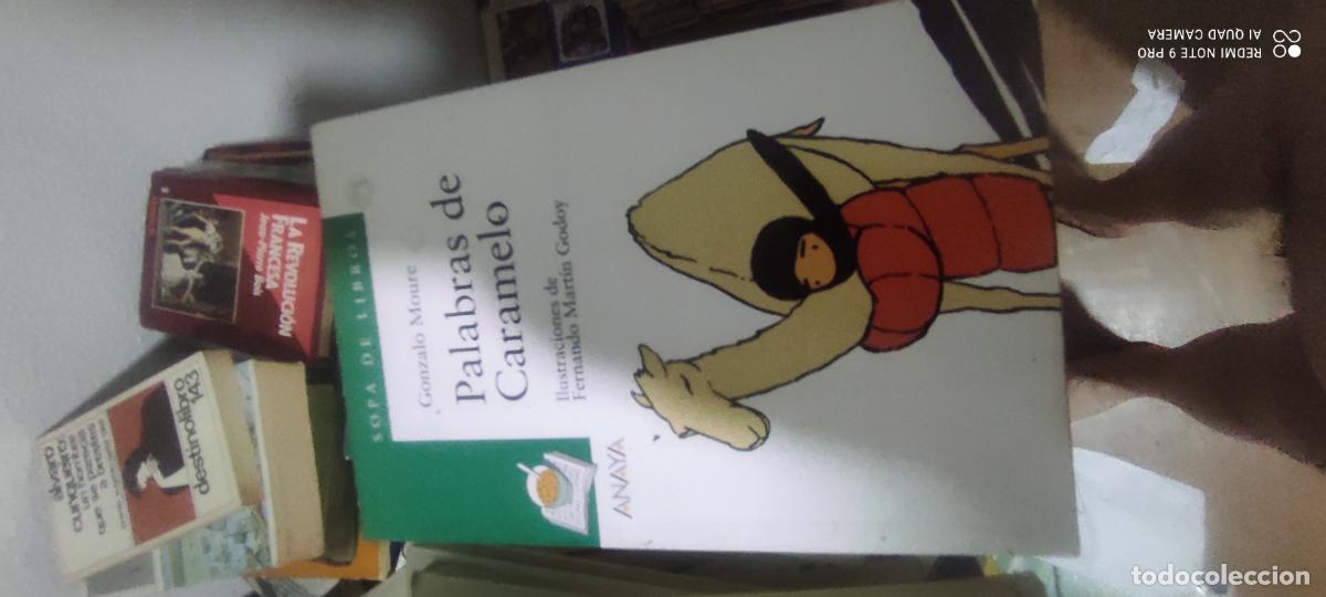 Libros de segunda mano: Palabras de Caramelo. Gonzalo Moure
