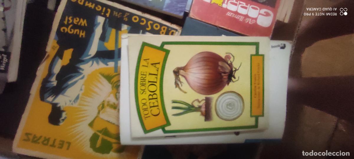Libros de segunda mano: TODO SOBRE LA CEBOLLA - CAROLINE FRANCIS
