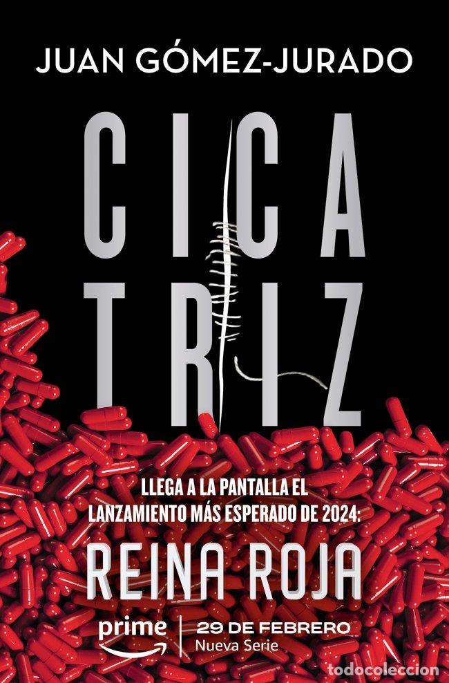 Libros de segunda mano: Cicatriz - Juan Gomez-jurado - B de Bolsillo - Ficci&oacute;n
