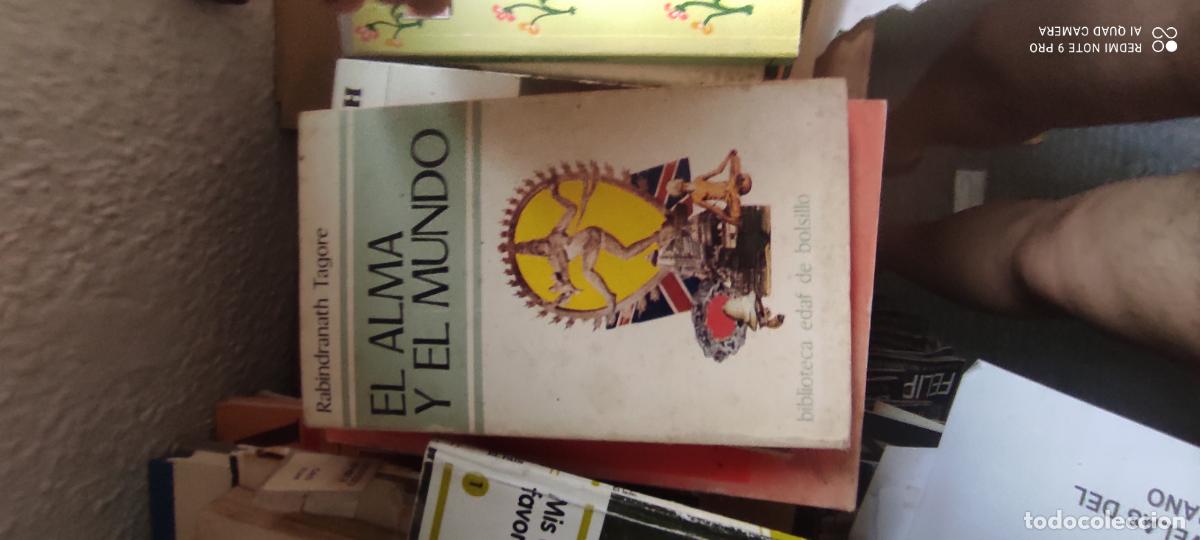 Libros de segunda mano: Tagore. El alma y el mundo