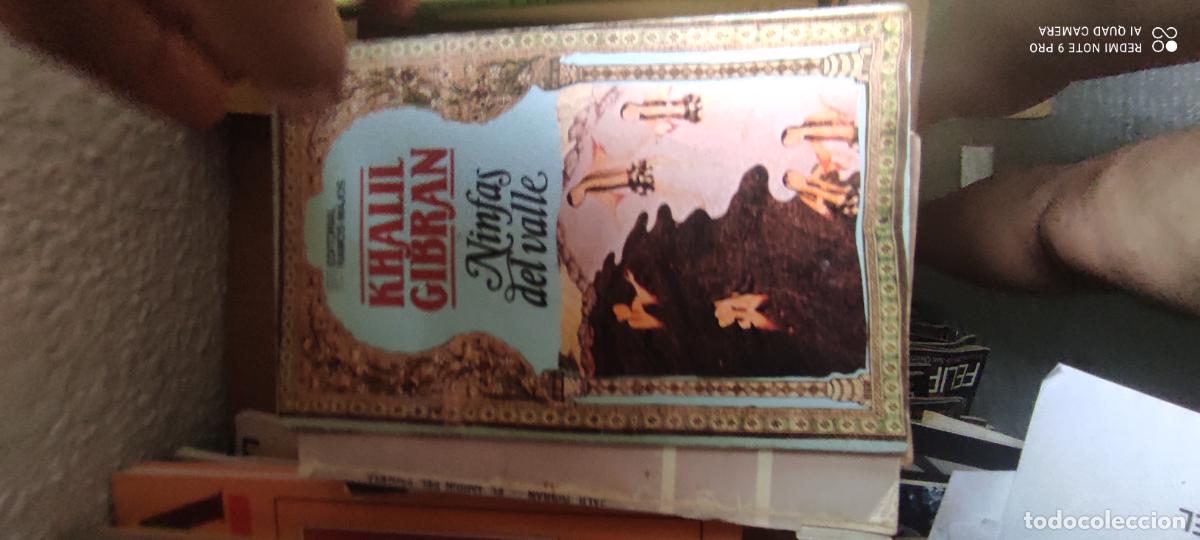 Libros de segunda mano: Ninfas en el valle. K. Gibran.