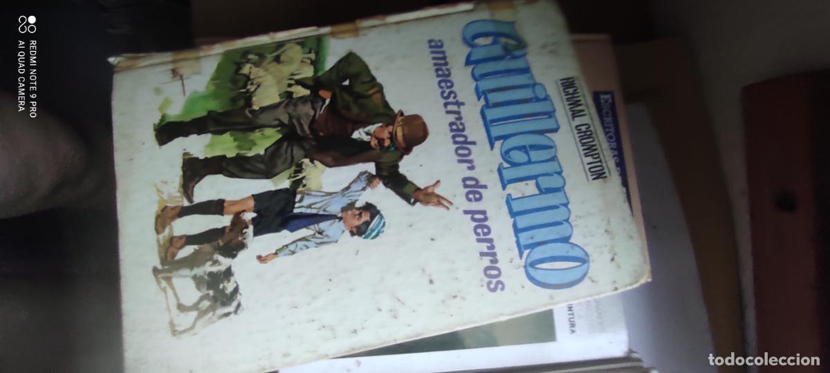 Livros em segunda m&atilde;o: Guillermo, amaestrador de perros