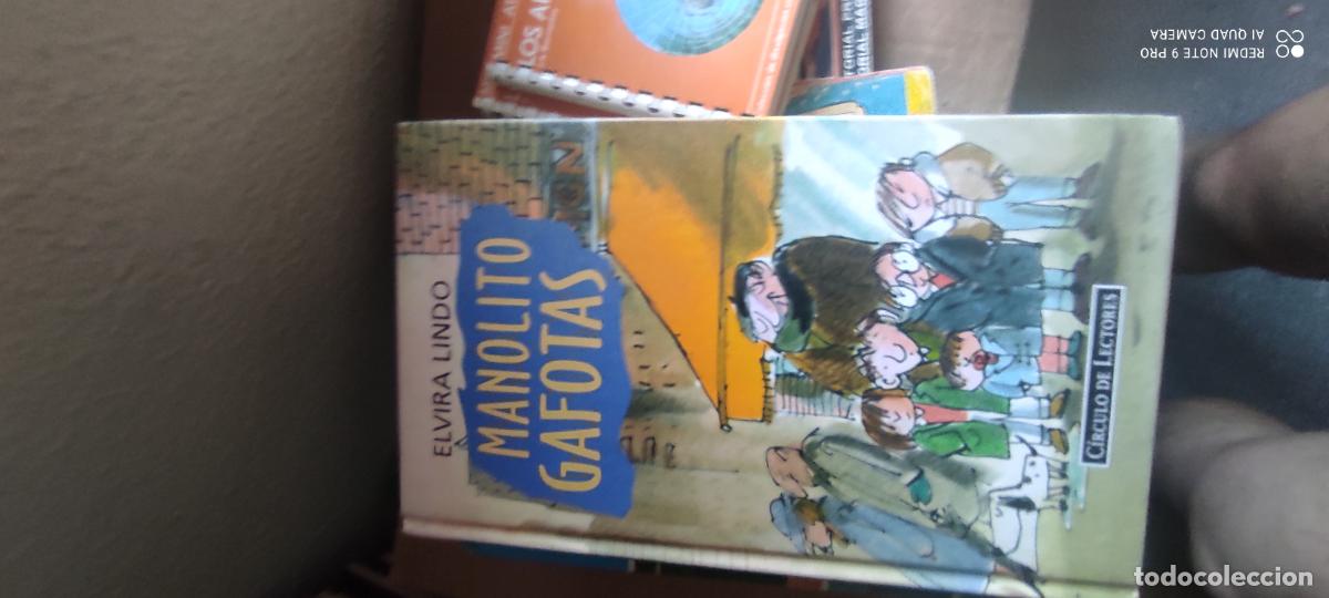 Libros de segunda mano: Manolito Gafotas. E. Lindo