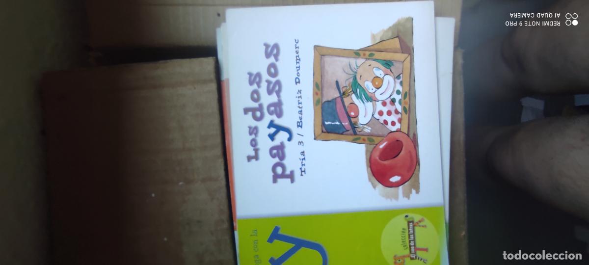 Libros de segunda mano: Los dos payasos. El zoo de las letras