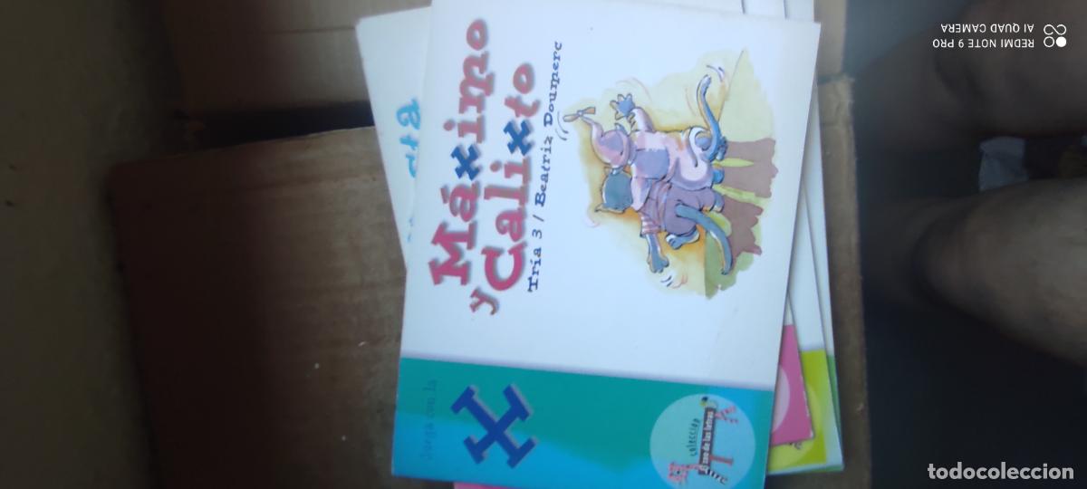 Libros de segunda mano: Maximo y Calixto. El zoo de las letras