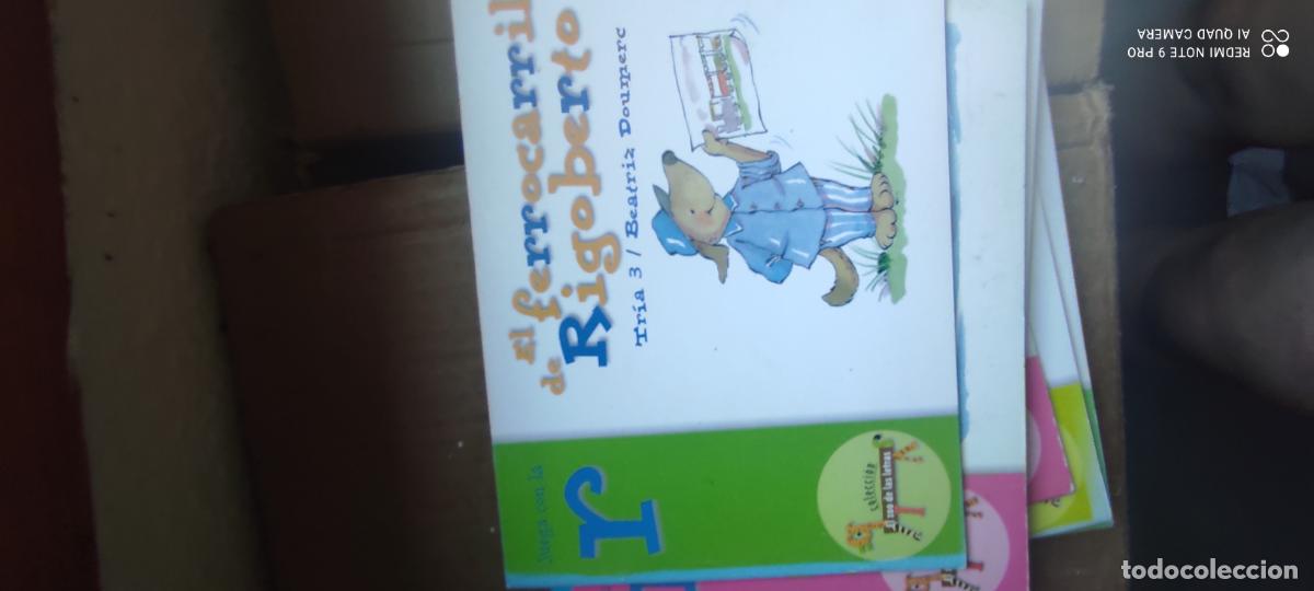 Libros de segunda mano: El ferrocarril de Rigoberto. El zoo de las letras l