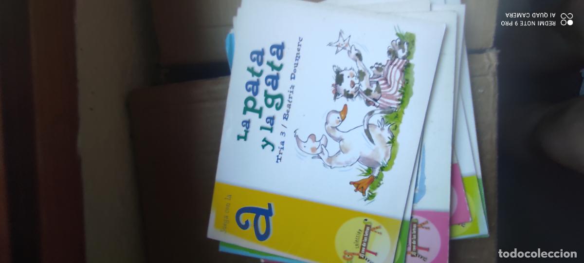 Libros de segunda mano: la pata y la gata. El zoo de las letras