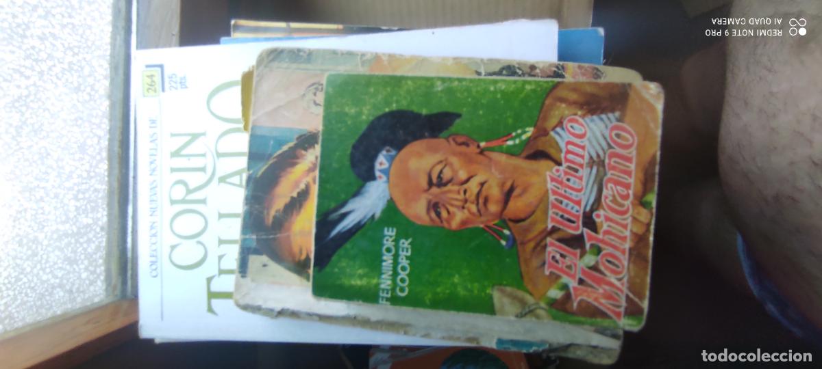 Gebrauchte B&uuml;cher: Minilibro El &uacute;ltimo mohicano