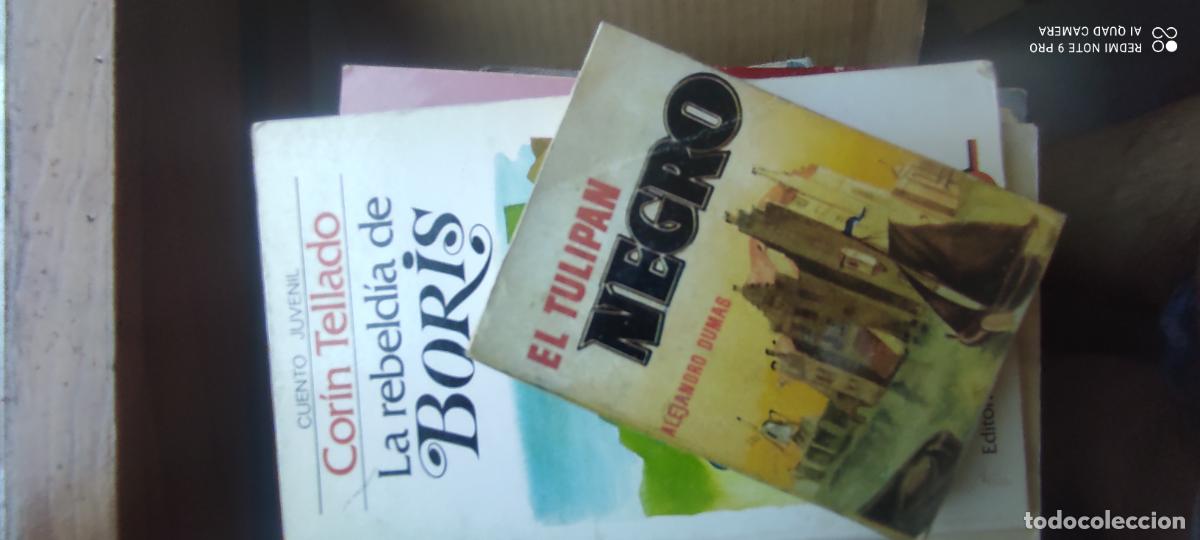 Livres d'occasion: Minilibros. El tulip&aacute;n negro l