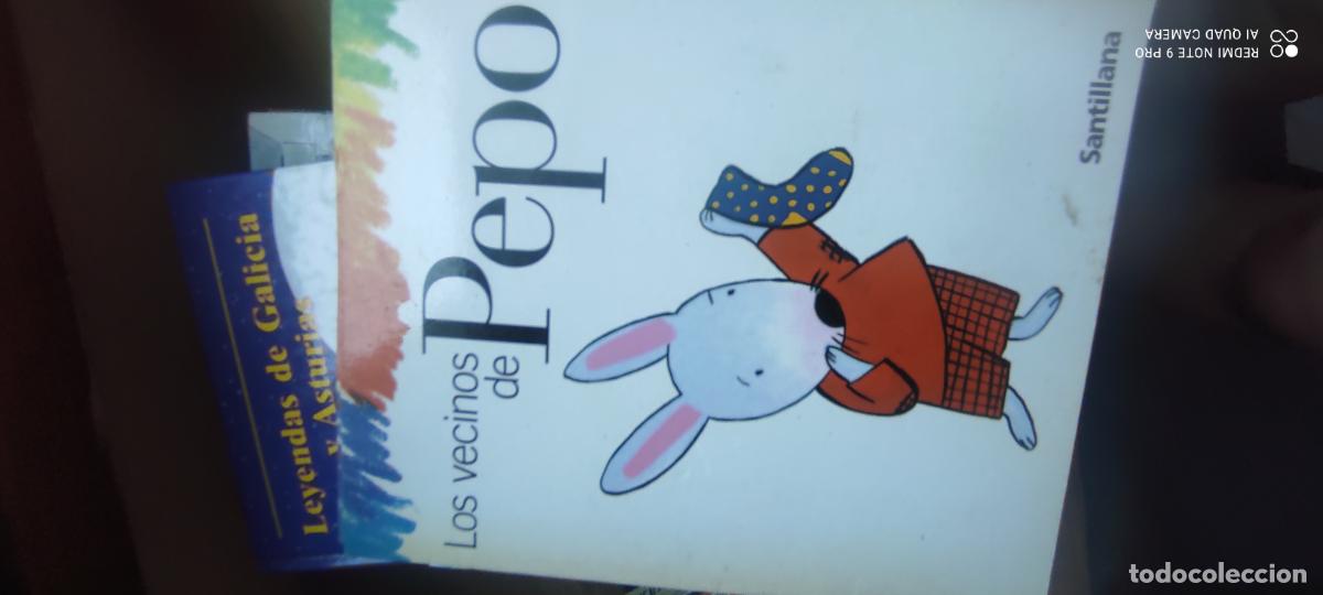 Second hand books: LOS VECINOS DE PEPO , ,SANTILLANA , 2006 , ESCRITO POR ELISA MARISCAL Y DIBUJADO POR AVI