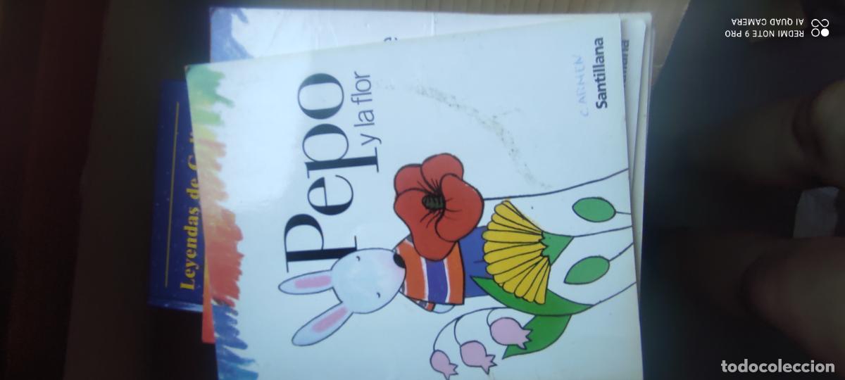 Livros em segunda m&atilde;o: PEPO Y LA FLOR , ,SANTILLANA , 2006 , ESCRITO POR ELISA MARISCAL Y DIBUJADO POR AVI
