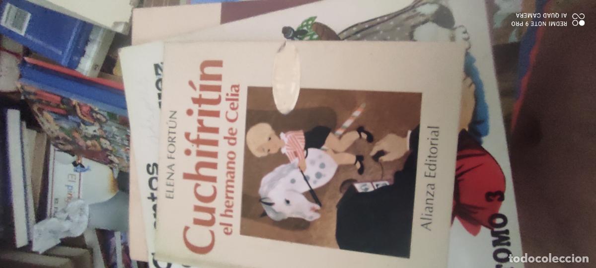 Libros de segunda mano: Cuchifritin, el hermano de Celia