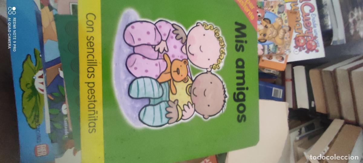 Libros de segunda mano: Mis amigos (con sencillas pesta&ntilde;itas) L