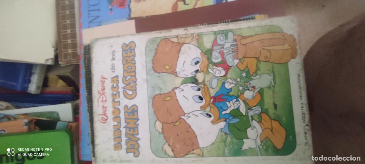 Libros de segunda mano: BIBLIOTECA JOVENES CASTORES (NUMERO 3)
