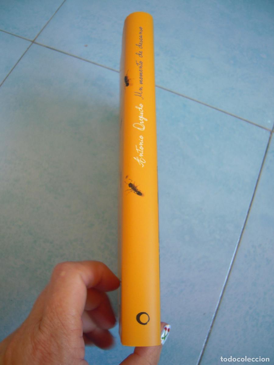 Libros de segunda mano: Un momento de descanso - Foto 2