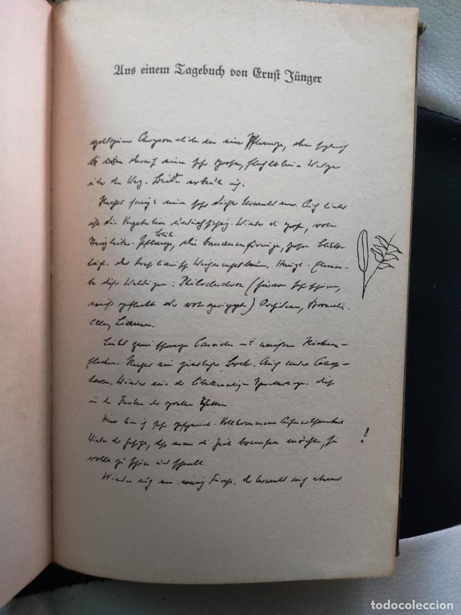 Libros de segunda mano: Lote 5 libros en alem&aacute;n de Ernst J&uuml;nger - Foto 6