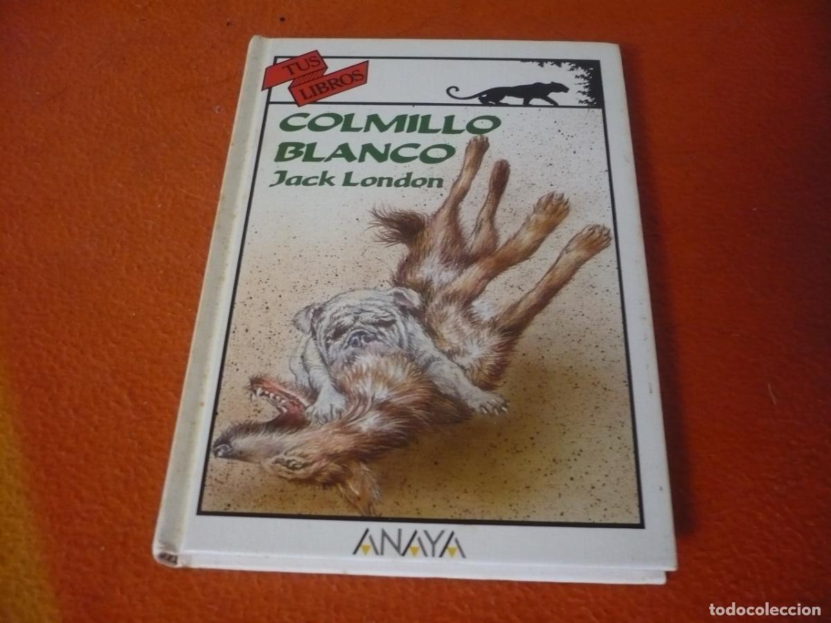 Libros de segunda mano: COLMILLO BLANCO ( JACK LONDON ) 1992 ANAYA TUS LIBROS 102 AVENTURAS