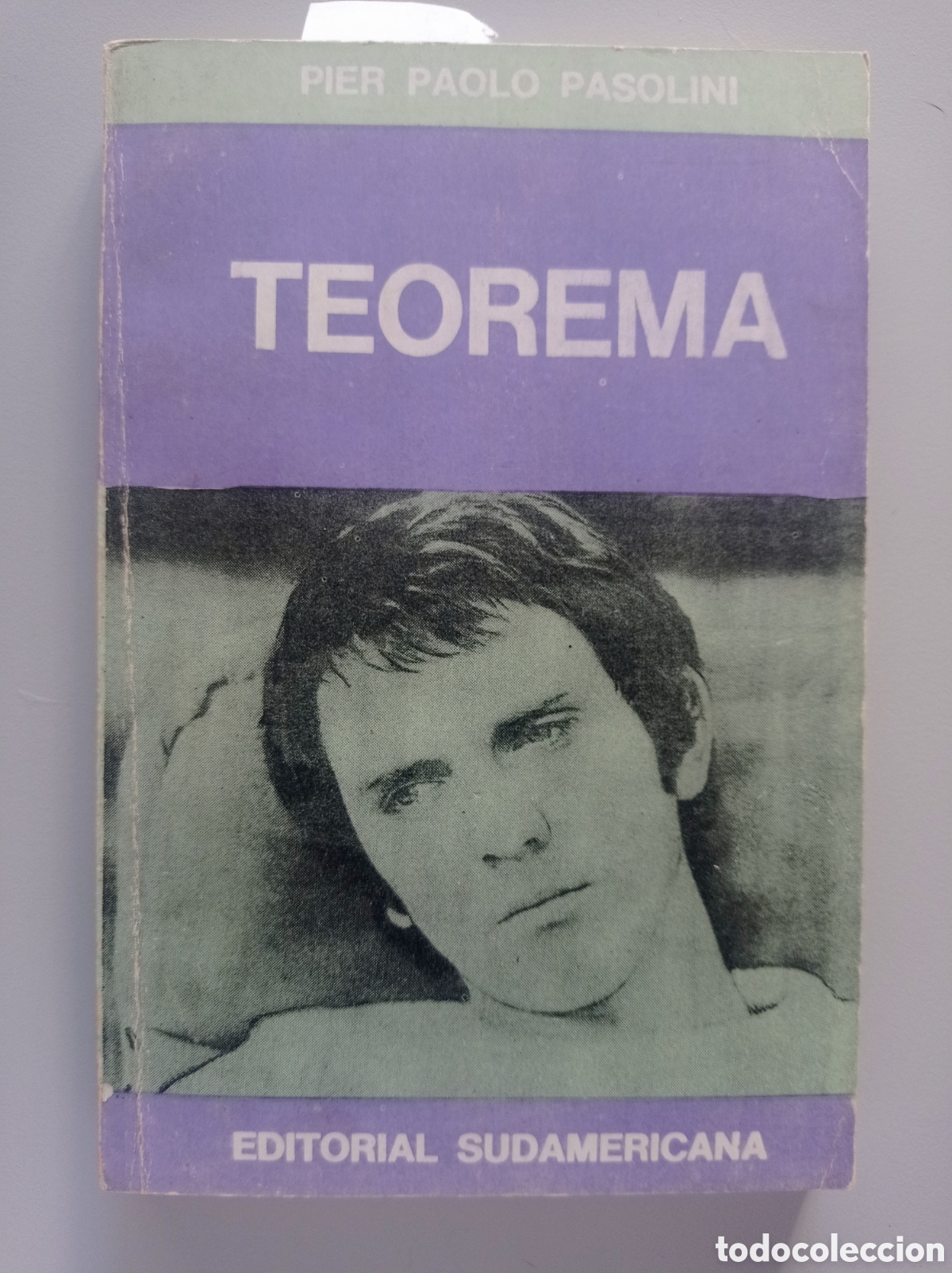 Libros de segunda mano: PIER PAOLO PASOLINI. TEOREMA. NOVELA.