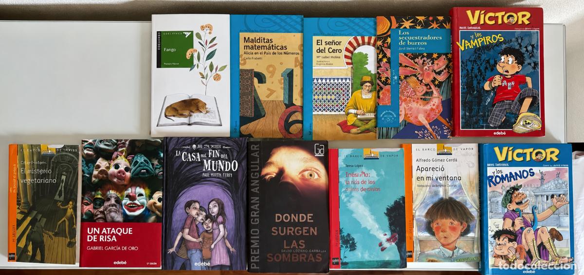 Libros de segunda mano: Lote libros juveniles
