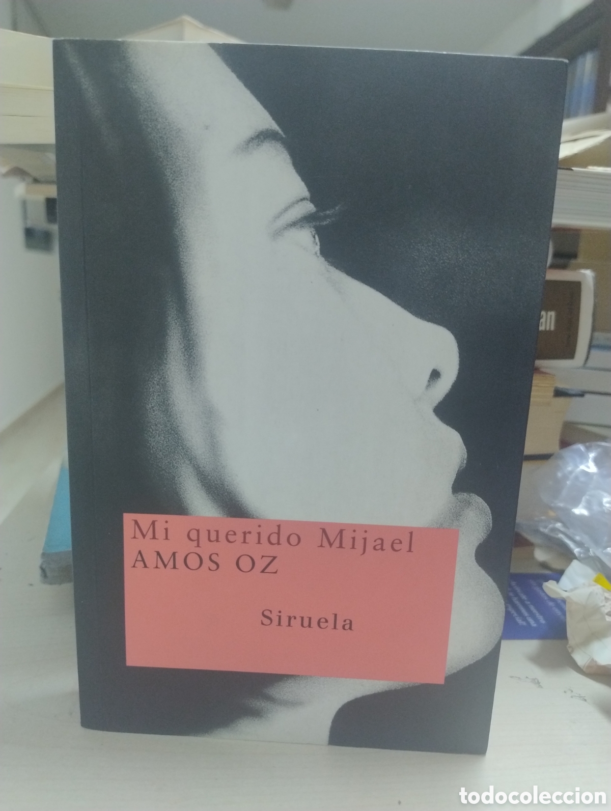 Libros de segunda mano: Mi querido Mijael. Siruela.