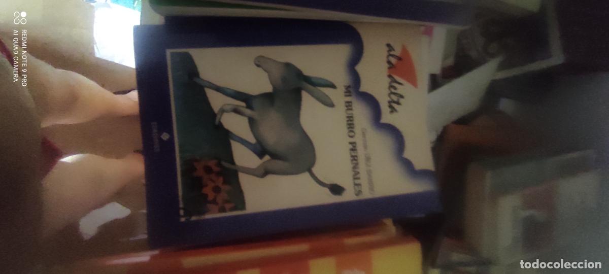 Libros de segunda mano: H&aacute;blame del sol.- Esteban, &Aacute;ngel