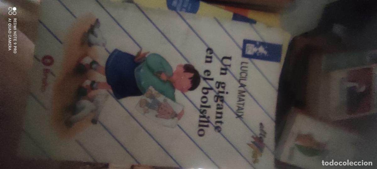 Libros de segunda mano: UN GIGANTE EN EL BOLSILLO (LUCILA MATAIX)