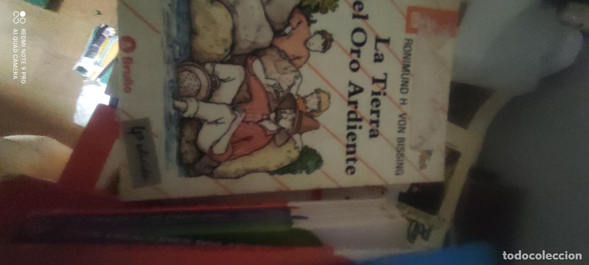 Libros de segunda mano: LA TIERRA DEL ORO ARDIENTE - Von Bissing,Ronimund H.