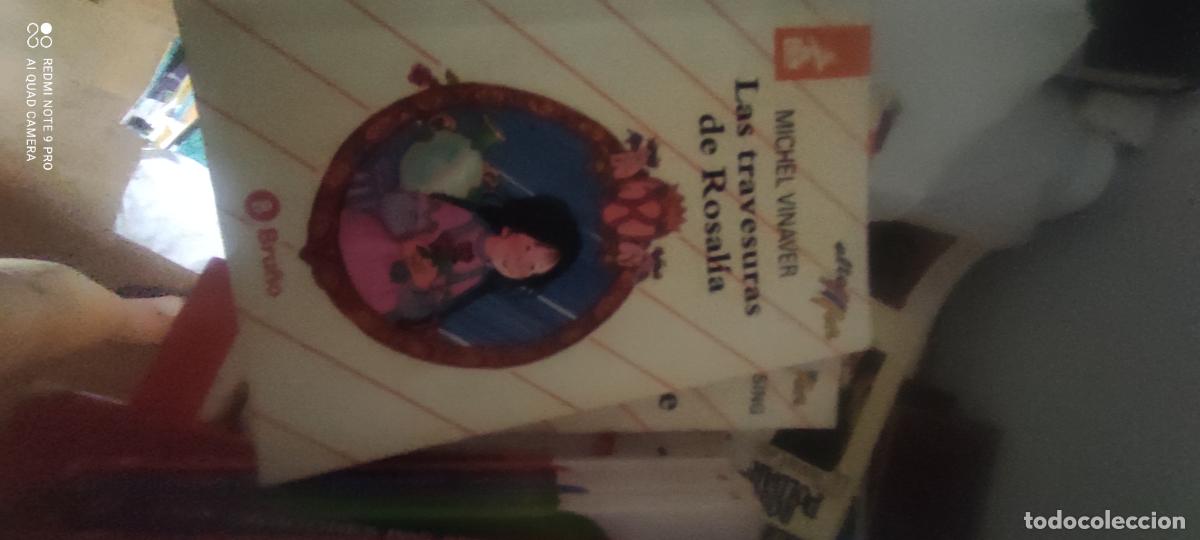 Libros de segunda mano: LAS TRAVESURAS DE ROSALIA (MICHEL VINAVER)