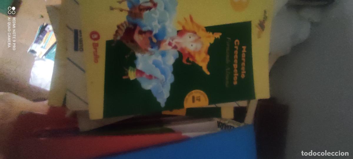 Livros em segunda m&atilde;o: MARCELO CRECEPELOS FERNANDO ALMENA