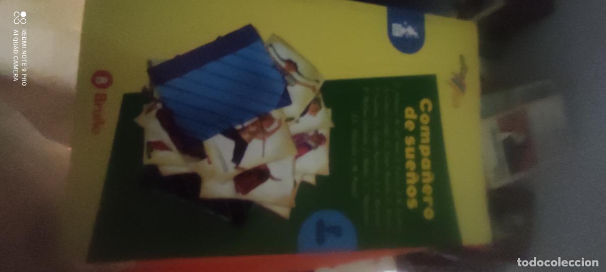 Livres d'occasion: Compa&ntilde;ero de sue&ntilde;os - Almena, F. y otros