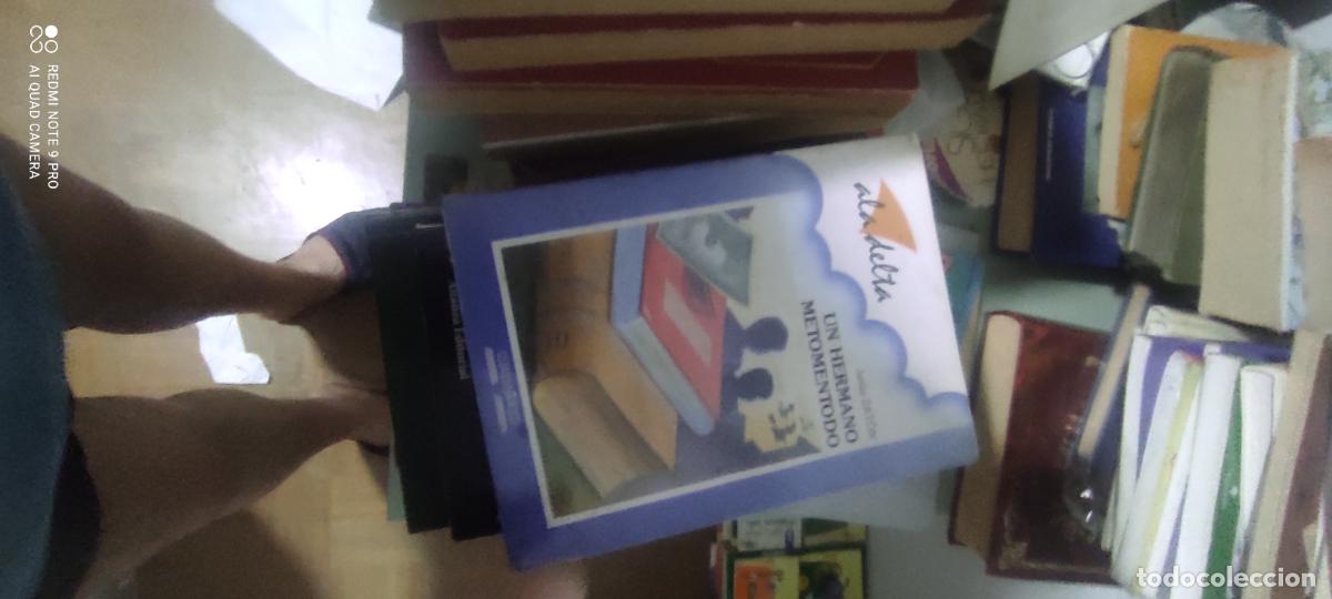 Libros de segunda mano: Un hermano metomentodo - Jes&uacute;s Zat&oacute;n