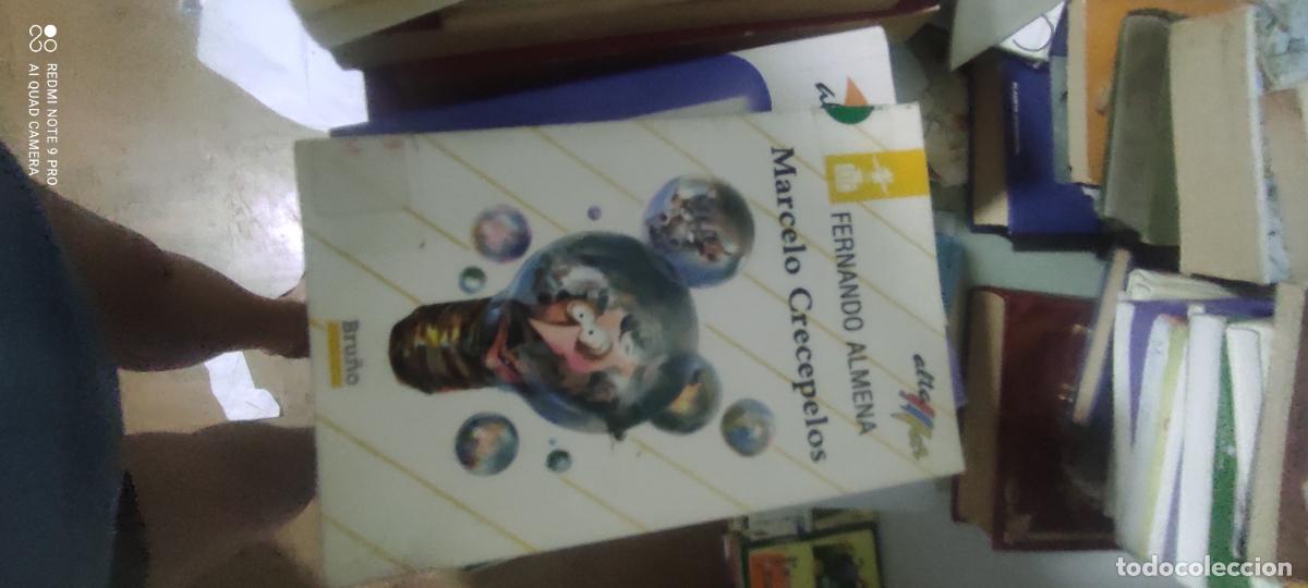 Libros de segunda mano: Marcelo Crecepelos - Almena, Fernando;
