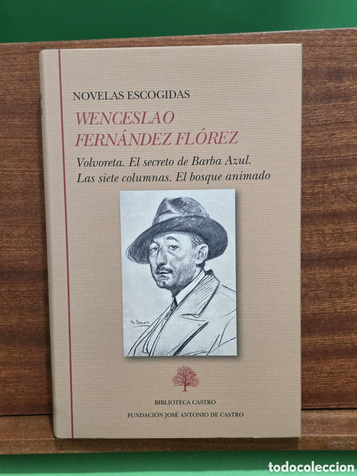 Libros de segunda mano: &rdquo;&rdquo;OVELAS ESCOGIDAS DE WENCESLAO FERN&Aacute;NDEZ FL&Oacute;REZ&rdquo;&rdquo;...EDICI&Oacute;N DE MIGUEL GONZ&Aacute;LEZ SOMOVILLA...2021...