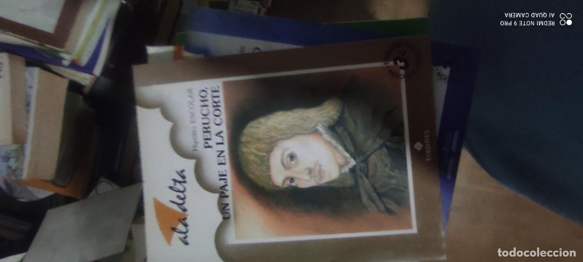Libros de segunda mano: Perucho, un paje en la corte.- Escolar Sobrino, Hip&oacute;lito