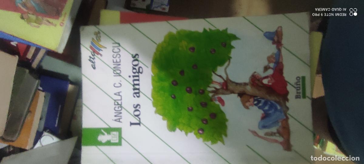 Libros de segunda mano: Los amigos - &Aacute;ngela C. Ionescu l