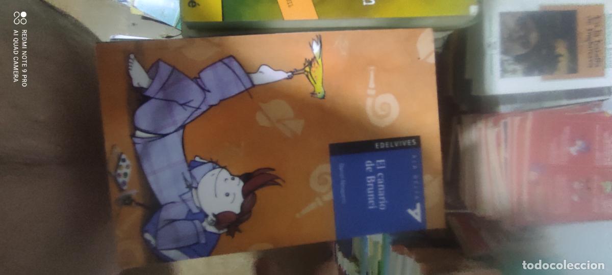 Libros de segunda mano: EL CANARIO DE BRUNEI DE DANIEL NESQUENS