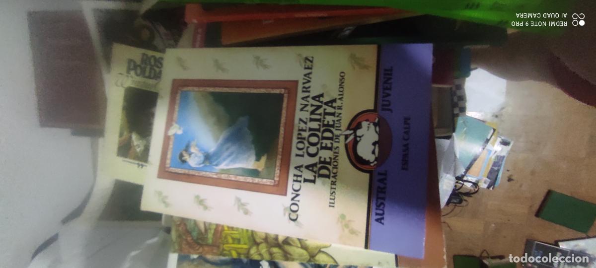 Libros de segunda mano: LA COLINA DE EDETA -- CONCHA LOPEZ NARVAEZ -- AUSTRAL --