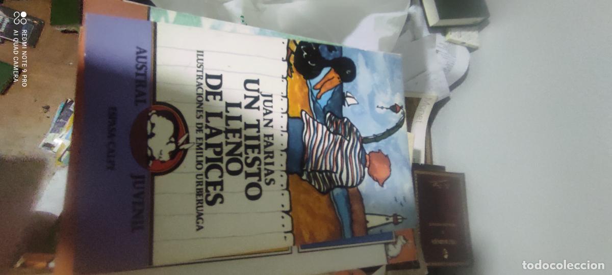 Libros de segunda mano: Un tiesto lleno de lapices (coleccion Austral juvenil 21) - Farias, Juan