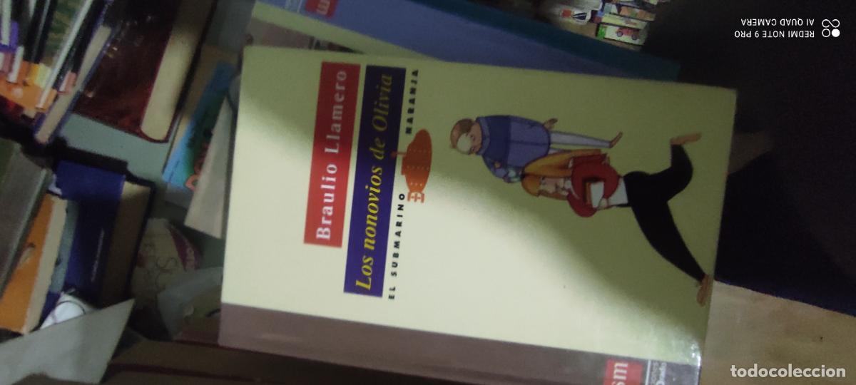 Libros de segunda mano: LOS NONOVIOS DE OLIVIA -- BRAULIO LLAMERO -- DEL PADRO 1993 -- l