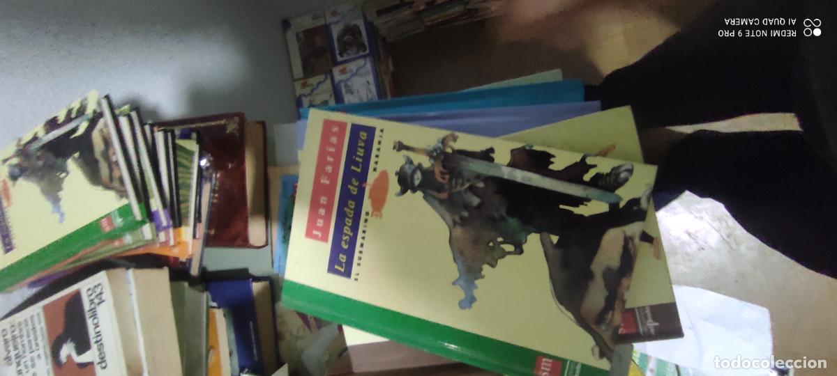 Libros de segunda mano: La espada de Liuva. - Juan Farias. COLECCION CATAMARAN N&ordm; 16. SM.