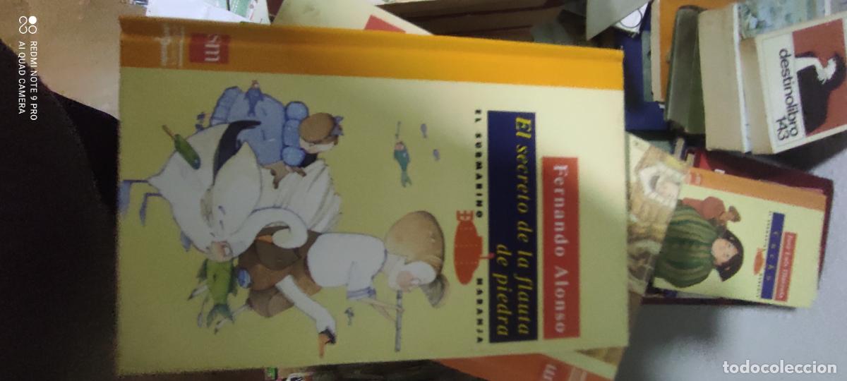 Libros de segunda mano: EL SECRETO DE LA FLAUTA DE PIEDRA - Alonso,Fernando