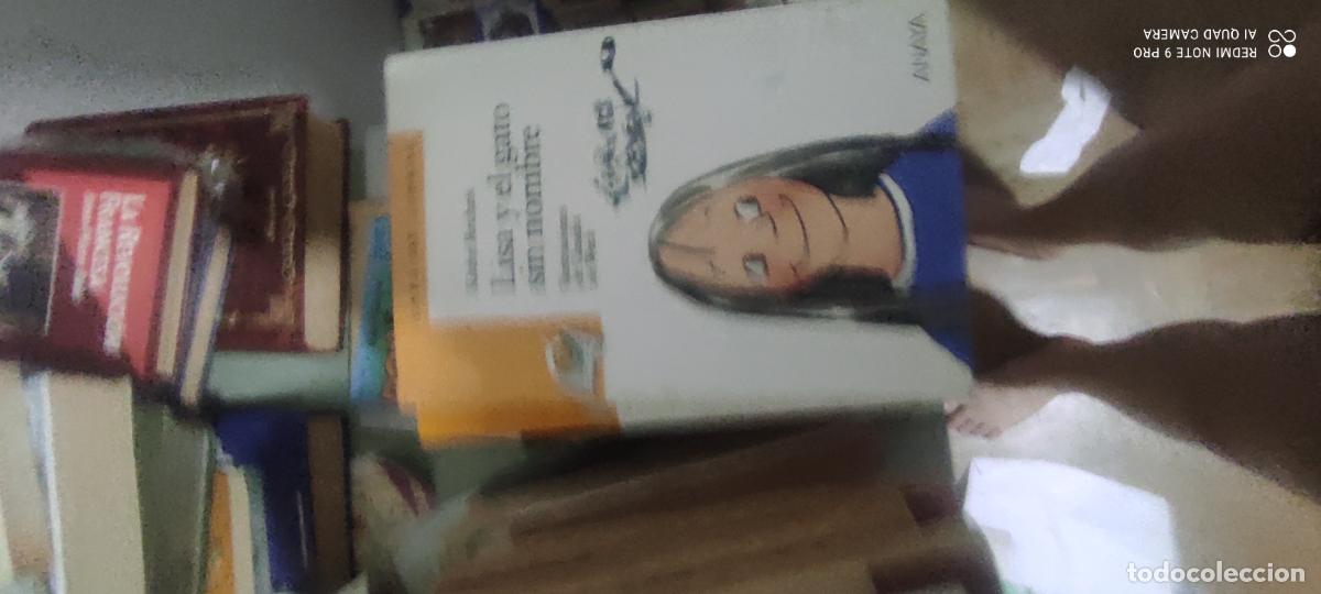 Libros de segunda mano: LISA Y EL GATO SIN NOMBRE. KATHE RECHEIS.